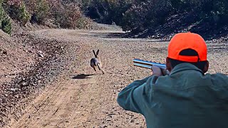 Hunting Partridges and Hares Season 2023/2024 PART 1:KHEMISSET -TIZITIN