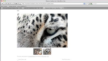 [ CodeCanyon - WordPress plugins ] Phoenix Gallery - install & demo usage