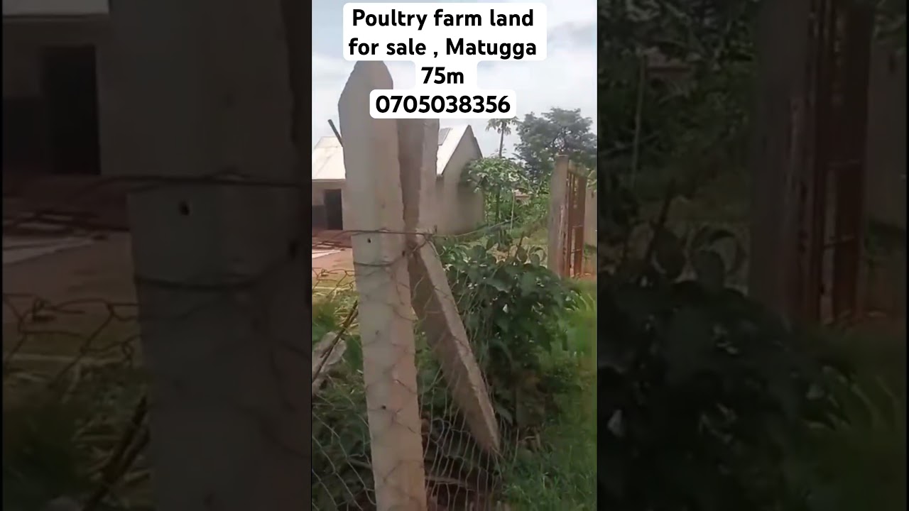 Poultry Farm Land for Sale