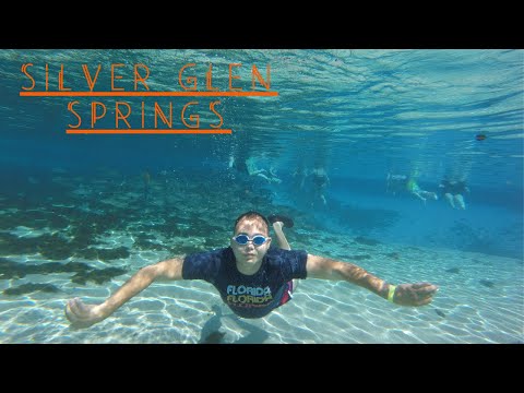 Video: L'acqua a Ginnie Springs è fredda?