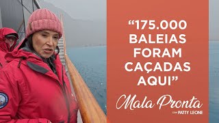 Leith Harbour A Cidade Fantasma Com Materiais Tóxicos Nas Ilhas Geórgia Do Sul Mala Pronta