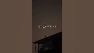 تلاوة من سورة الحجر الشيخ هزاع البلوشي ارح سمعك 🤍
