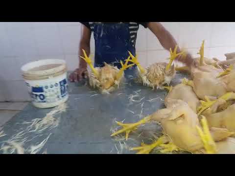 Como pelar un pollo en 6 segundos hqdefault