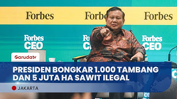 Presiden Prabowo Bongkar 1.000 Tambang dan 5 Juta Ha Sawit  Ilegal