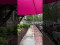 POV: you’re listening to your favorite song in the rain #shorts