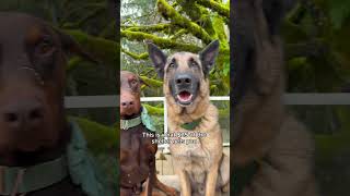 There was a sale going on 😂