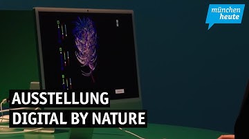 Eine Ausstellung, die Kunst und KI verbindet