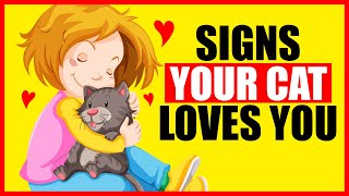 12 Signs Your Cat REALLY Loves You by Cat Nation 10,853 views 1 year ago 9 minutes, 46 seconds