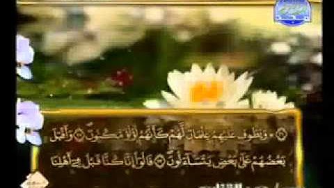 سورة الطور الشيخ عمر القزابري