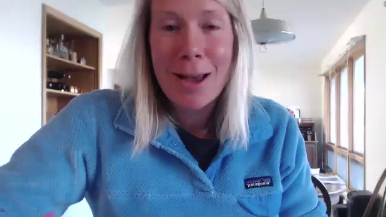 COVID 19 and your dog's health