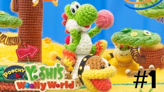 POOCHY E YOSHI'S WOOLY WORLD #1
