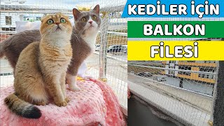 KEDİLERİMİZ İÇİN BALKONA FİLE YAPTIK (Mila ve Luna Çok Mutlu Oldu)