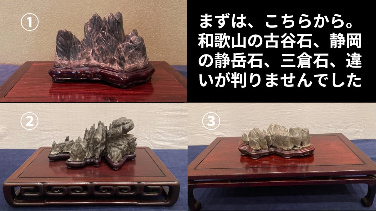 初めての水石143 令和8年度静岡県水石連盟展に行きました - YouTube