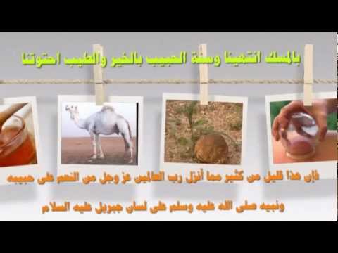 من هدي نبي الرحمات