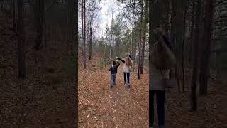 🍁осень #2025 #шортс #настроениеосень #осень #прогулка #листья #природа #танцы #девченки