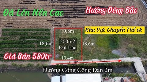 Bán 200m2 Đất Lúa Sổ Hồng Riêng Đường Đan 2M Giá 580tr Ấp Kế Mỹ Xã Mỹ Lộc Cần Giuộc Long An