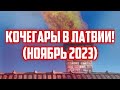 КОЧЕГАРЫ В ЛАТВИИ! (НОЯБРЬ 2023) | КРИМИНАЛЬНАЯ ЛАТВИЯ