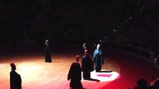 Whirling dervishes