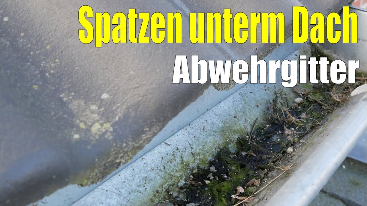 Update Spatzen unterm Dach | Abwehrgitter