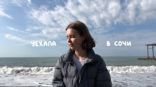 VLOG | Уехала в Сочи