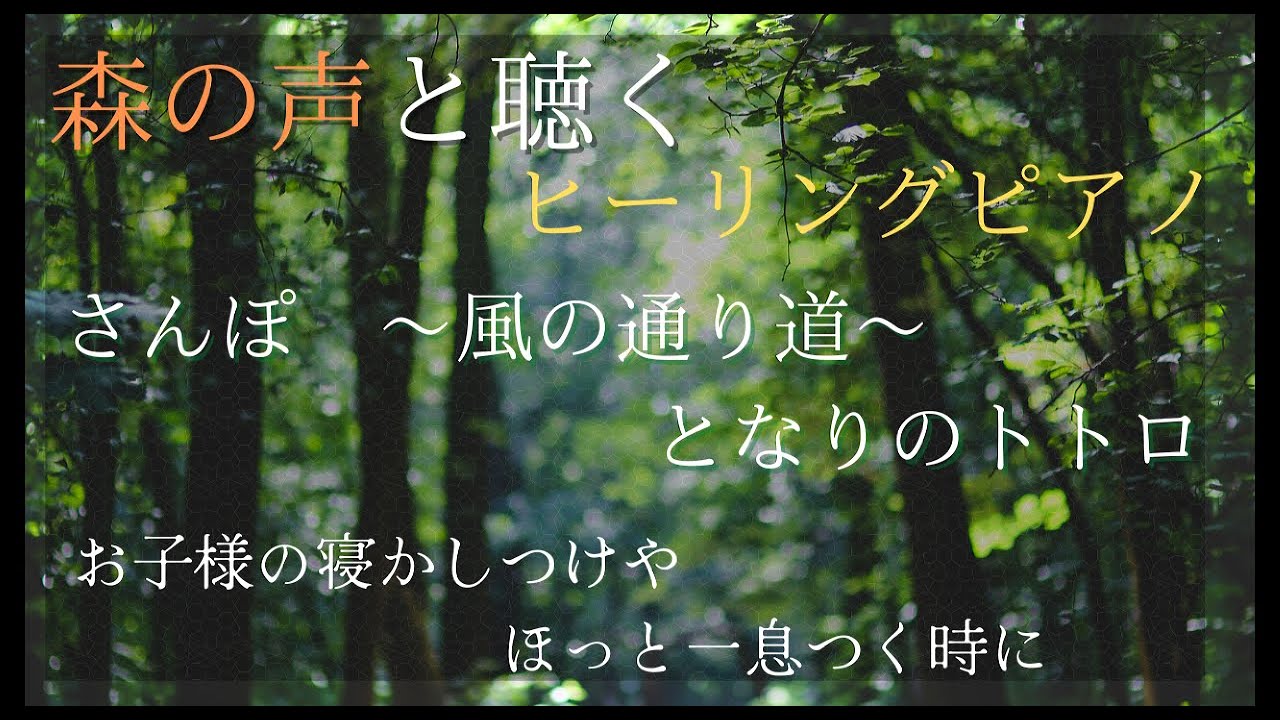 森の声と聴く さんぽ 風の通り道 となりのトトロ ヒーリングピア Youtube