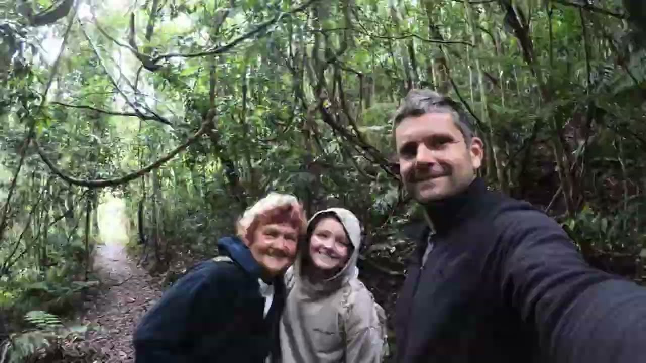 Washpool Rangers Walk | Gibraltar Range Hike – 1000-Year-Old Cedars, Wildlife & Leeches!