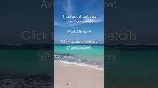 $2M in Bali or $215K in Sumba?The Beachfront Land Price Shock!#sumba #travel #landforsale #indonesia