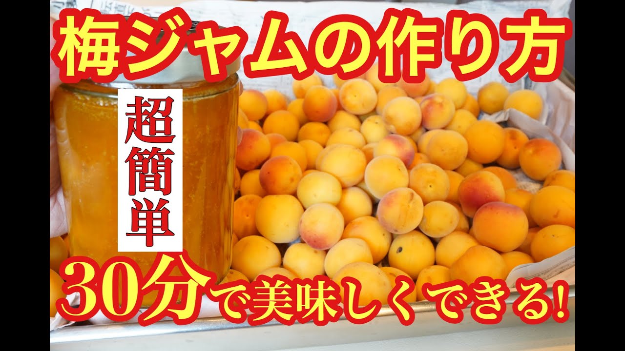梅ジャム 作り方【簡単レシピ】旬の完熟梅を30分で梅ジャムにする方法！