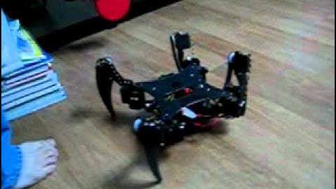 C.A.T. Quadruped Full Object Interaction