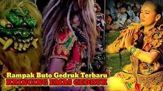 GEDRUK KRINCING EMAS TERBARU || RAMPAK BUTO GEDRUK TERBARU 2023 LIVE LAP.LINDHU GEDHE