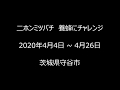 二ホンミツバチやってきた　【 2020年4月4日～4月26日】