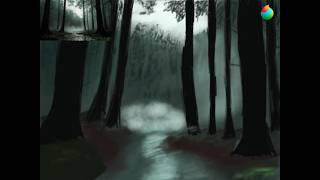 Misty Forest Timelapse Misty Forest Timelapse