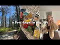 Staying consistent with routine  a few days in my life vlog