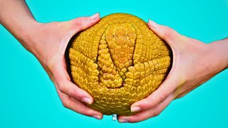 20 ANIMALS WITH SPECIAL ABILITIES THAT WILL SURPRISE YOU!
