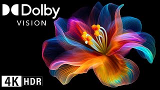 Best Of Dolby Vision 4K Hdr 60 Fps, Peaceful Flower World. Calm Self-Made Music!