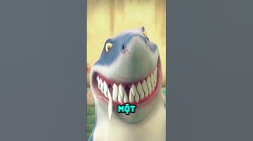 Đây là lý do vì sao cá mập phải thay răng liên tục #shorts