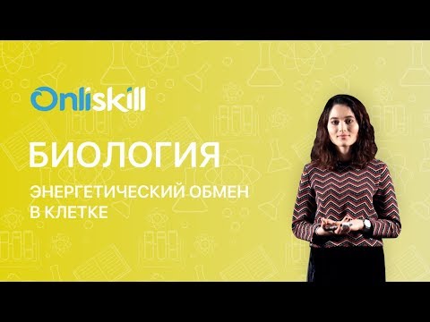 БИОЛОГИЯ 10 класс : Энергетический обмен в клетке