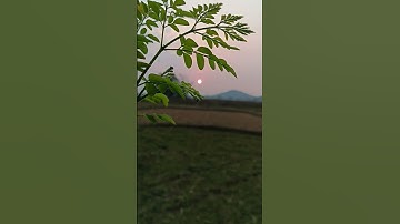 Thumbnail of Good Evening Status | Good evening video | Good evening video shoot | evening status #shorts #viral