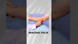 #brachial pulse #medical #term #shorts #pulsesite