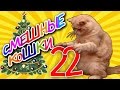 Смешные кошки 22 ● Приколы с животными зима 2015 - коты ● Funny cats vine compilation ● Part 22