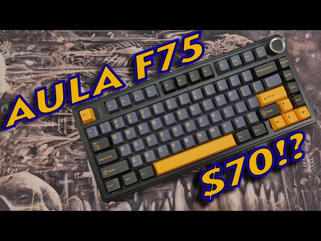 Aula F75: A $70 Custom Keyboard!? - YouTube