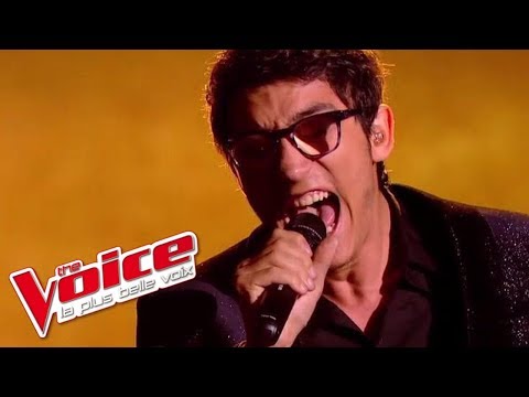 Vincent Vinel - « Earth Song » (Michael Jackson) | The Voice 2017 | Live