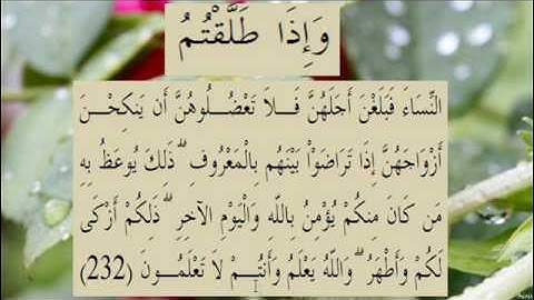 القران الكريم سورة البقرة الاية  232