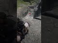 Всё нормально? #reddeadonline #rdo #rockstargames