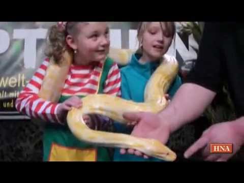 Video: Zoos, Reptilienshows und Rettungshunde: Überraschende Geburtstagsfeier-Ideen für Kinder