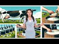Cheese Making Manufacturing GPT