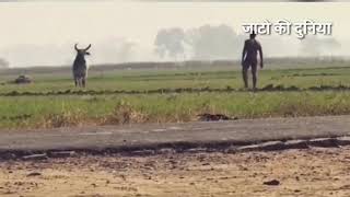 धारा 144/ jaat new song /जाटो का अड्डा#