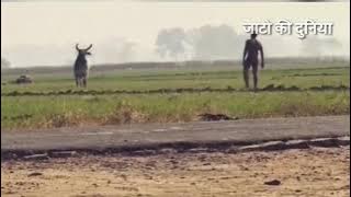 धारा 144/ jaat new song /जाटो का अड्डा#