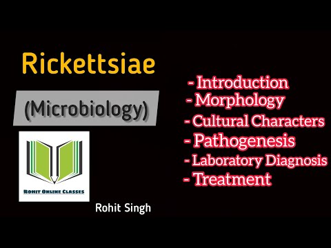 Rickettsiae (Microbiology)