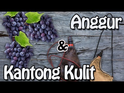 Video: Kulit anggur terbuat dari apa pada zaman Alkitab?